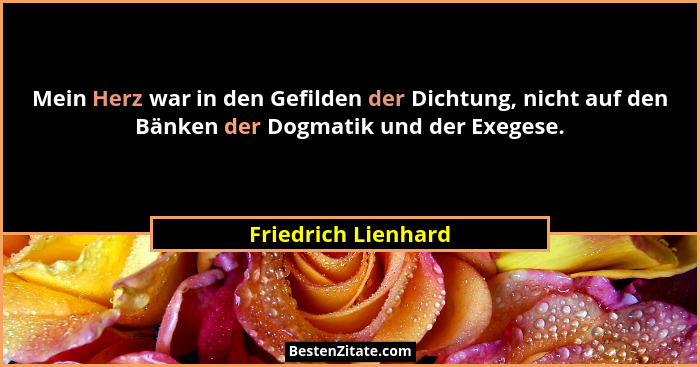 Mein Herz war in den Gefilden der Dichtung, nicht auf den Bänken der Dogmatik und der Exegese.... - Friedrich Lienhard
