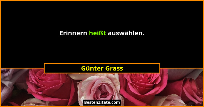 Erinnern heißt auswählen.... - Günter Grass