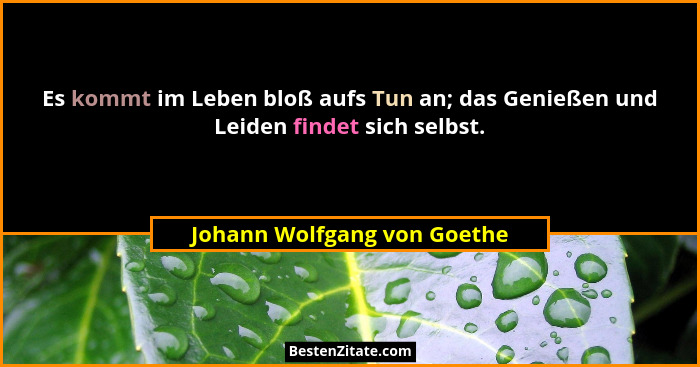 Es kommt im Leben bloß aufs Tun an; das Genießen und Leiden findet sich selbst.... - Johann Wolfgang von Goethe