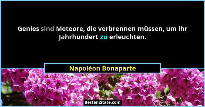 Genies sind Meteore, die verbrennen müssen, um ihr Jahrhundert zu erleuchten.... - Napoléon Bonaparte