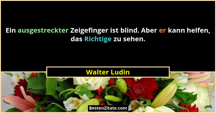 Ein ausgestreckter Zeigefinger ist blind. Aber er kann helfen, das Richtige zu sehen.... - Walter Ludin