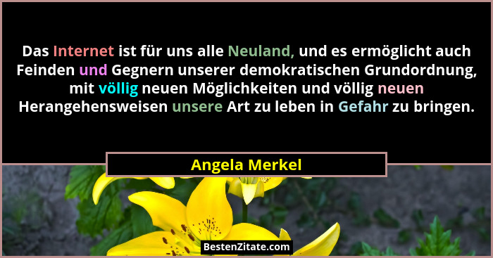 Das Internet ist für uns alle Neuland, und es ermöglicht auch Feinden und Gegnern unserer demokratischen Grundordnung, mit völlig neue... - Angela Merkel