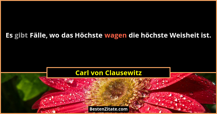Es gibt Fälle, wo das Höchste wagen die höchste Weisheit ist.... - Carl von Clausewitz