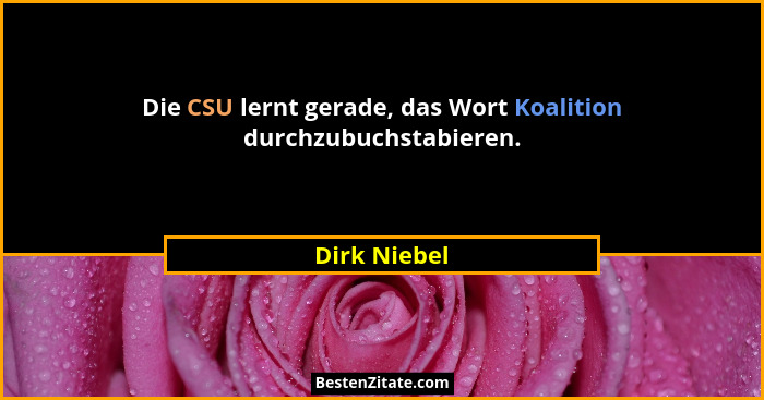 Die CSU lernt gerade, das Wort Koalition durchzubuchstabieren.... - Dirk Niebel
