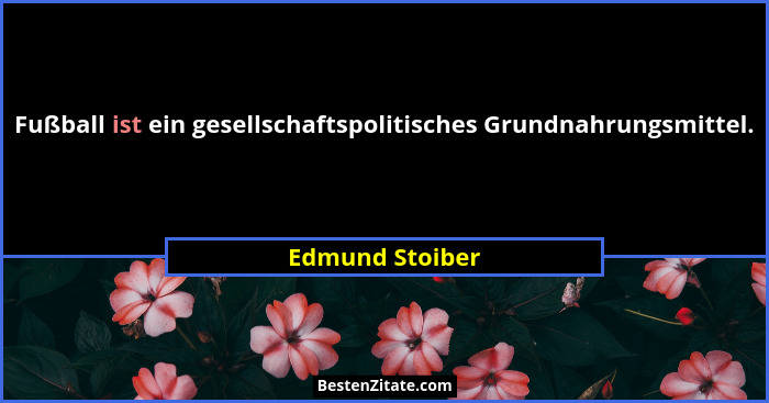 Fußball ist ein gesellschaftspolitisches Grundnahrungsmittel.... - Edmund Stoiber