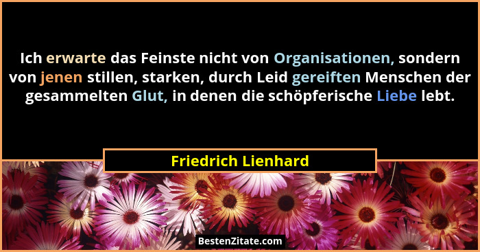 Ich erwarte das Feinste nicht von Organisationen, sondern von jenen stillen, starken, durch Leid gereiften Menschen der gesammelt... - Friedrich Lienhard