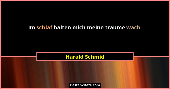 Im schlaf halten mich meine träume wach.... - Harald Schmid