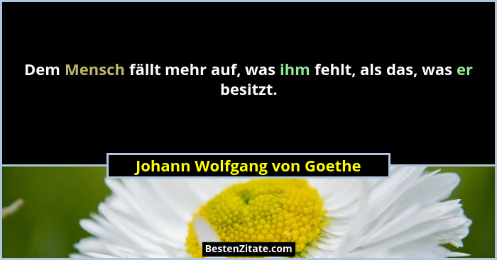 Dem Mensch fällt mehr auf, was ihm fehlt, als das, was er besitzt.... - Johann Wolfgang von Goethe