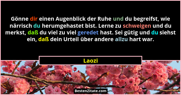 Gönne dir einen Augenblick der Ruhe und du begreifst, wie närrisch du herumgehastet bist. Lerne zu schweigen und du merkst, daß du viel zu vie... - Laozi