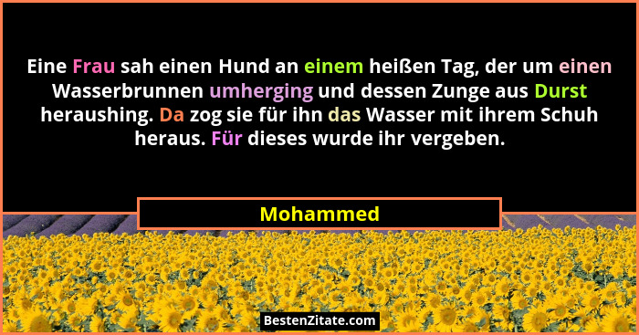 Eine Frau sah einen Hund an einem heißen Tag, der um einen Wasserbrunnen umherging und dessen Zunge aus Durst heraushing. Da zog sie für ih... - Mohammed