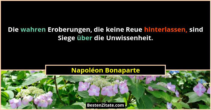 Die wahren Eroberungen, die keine Reue hinterlassen, sind Siege über die Unwissenheit.... - Napoléon Bonaparte
