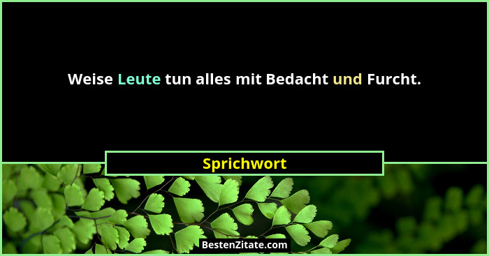 Weise Leute tun alles mit Bedacht und Furcht.... - Sprichwort