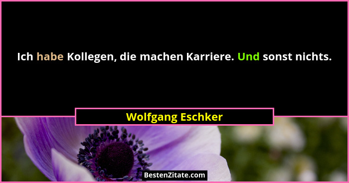 Ich habe Kollegen, die machen Karriere. Und sonst nichts.... - Wolfgang Eschker