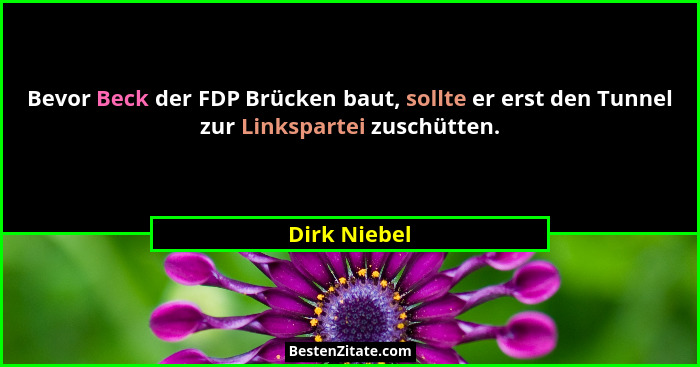 Bevor Beck der FDP Brücken baut, sollte er erst den Tunnel zur Linkspartei zuschütten.... - Dirk Niebel