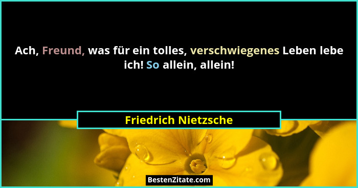 Ach, Freund, was für ein tolles, verschwiegenes Leben lebe ich! So allein, allein!... - Friedrich Nietzsche