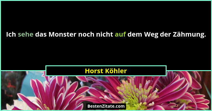 Ich sehe das Monster noch nicht auf dem Weg der Zähmung.... - Horst Köhler