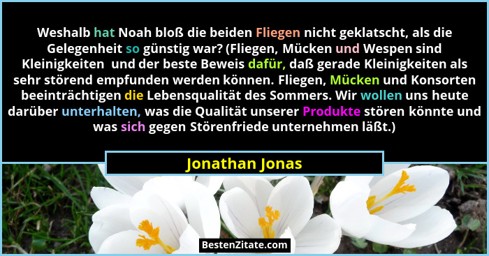 Weshalb hat Noah bloß die beiden Fliegen nicht geklatscht, als die Gelegenheit so günstig war? (Fliegen, Mücken und Wespen sind Klein... - Jonathan Jonas