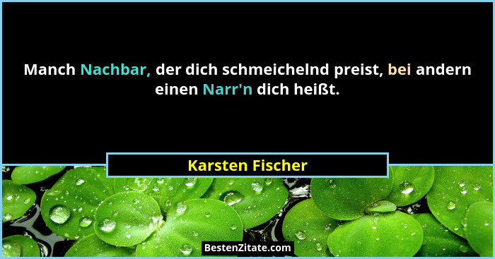 Manch Nachbar, der dich schmeichelnd preist, bei andern einen Narr'n dich heißt.... - Karsten Fischer