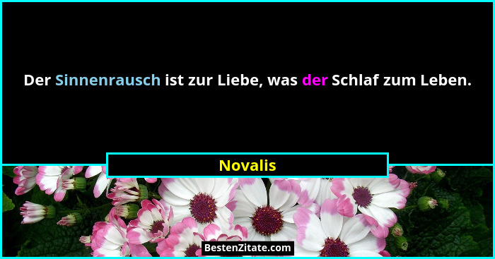 Der Sinnenrausch ist zur Liebe, was der Schlaf zum Leben.... - Novalis