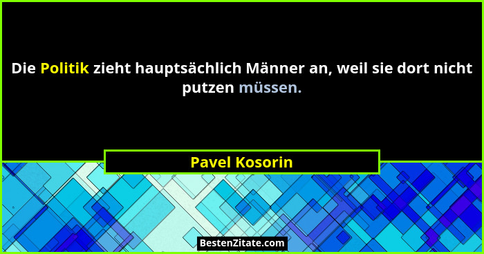 Die Politik zieht hauptsächlich Männer an, weil sie dort nicht putzen müssen.... - Pavel Kosorin