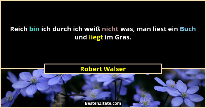 Reich bin ich durch ich weiß nicht was, man liest ein Buch und liegt im Gras.... - Robert Walser