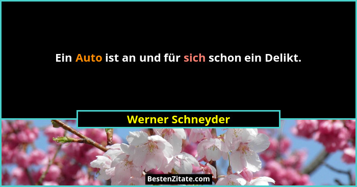 Ein Auto ist an und für sich schon ein Delikt.... - Werner Schneyder