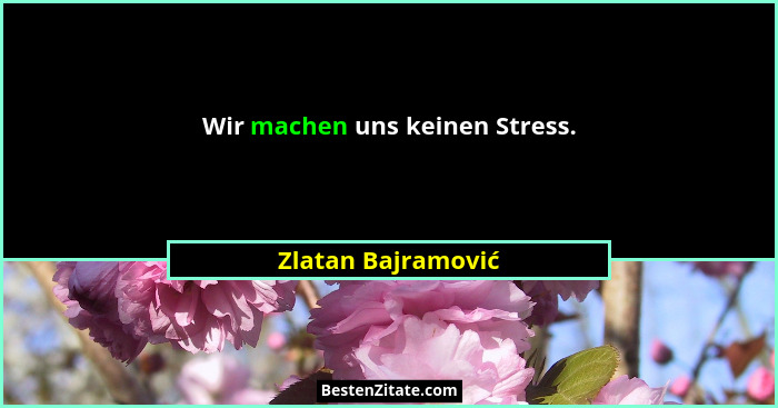 Wir machen uns keinen Stress.... - Zlatan Bajramović