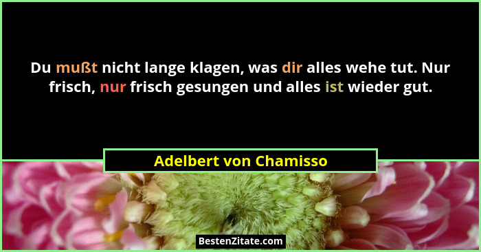Du mußt nicht lange klagen, was dir alles wehe tut. Nur frisch, nur frisch gesungen und alles ist wieder gut.... - Adelbert von Chamisso