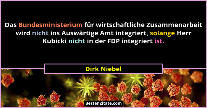 Das Bundesministerium für wirtschaftliche Zusammenarbeit wird nicht ins Auswärtige Amt integriert, solange Herr Kubicki nicht in der FDP... - Dirk Niebel