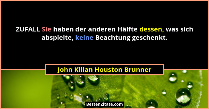 ZUFALL Sie haben der anderen Hälfte dessen, was sich abspielte, keine Beachtung geschenkt.... - John Kilian Houston Brunner