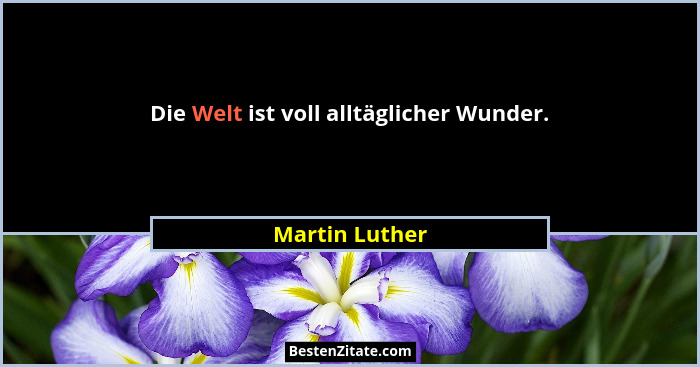 Die Welt ist voll alltäglicher Wunder.... - Martin Luther