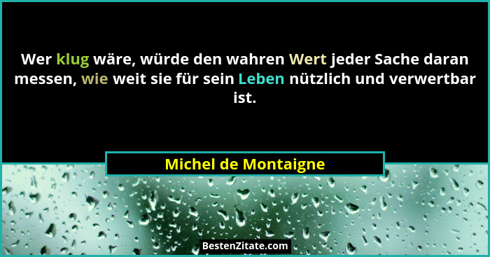 Wer klug wäre, würde den wahren Wert jeder Sache daran messen, wie weit sie für sein Leben nützlich und verwertbar ist.... - Michel de Montaigne