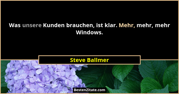 Was unsere Kunden brauchen, ist klar. Mehr, mehr, mehr Windows.... - Steve Ballmer