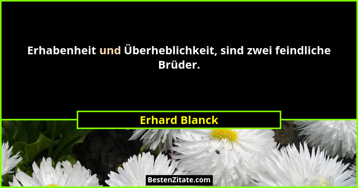 Erhabenheit und Überheblichkeit, sind zwei feindliche Brüder.... - Erhard Blanck