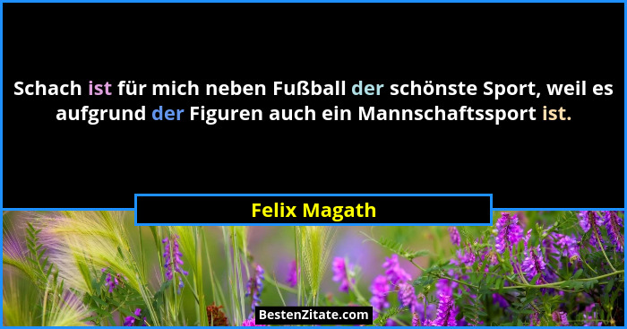 Schach ist für mich neben Fußball der schönste Sport, weil es aufgrund der Figuren auch ein Mannschaftssport ist.... - Felix Magath