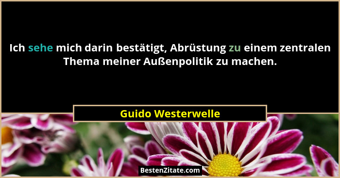 Ich sehe mich darin bestätigt, Abrüstung zu einem zentralen Thema meiner Außenpolitik zu machen.... - Guido Westerwelle