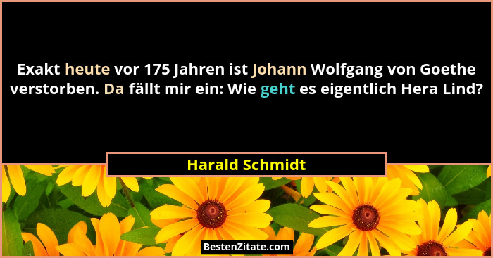 Exakt heute vor 175 Jahren ist Johann Wolfgang von Goethe verstorben. Da fällt mir ein: Wie geht es eigentlich Hera Lind?... - Harald Schmidt