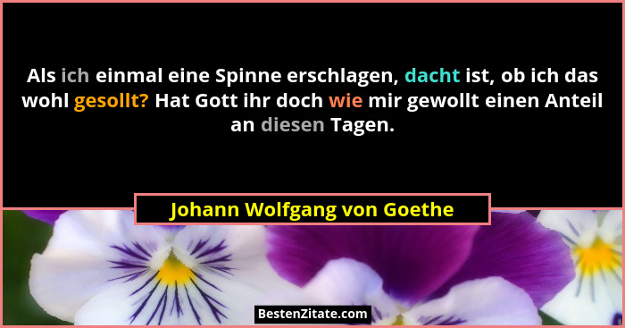Als ich einmal eine Spinne erschlagen, dacht ist, ob ich das wohl gesollt? Hat Gott ihr doch wie mir gewollt einen Anteil... - Johann Wolfgang von Goethe