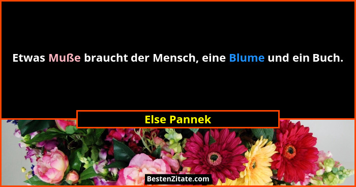 Etwas Muße braucht der Mensch, eine Blume und ein Buch.... - Else Pannek