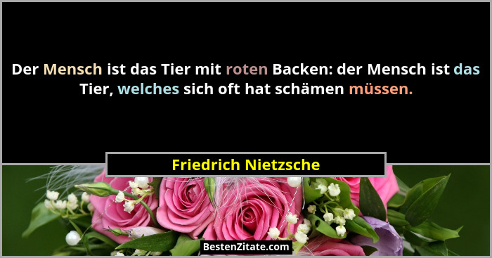 Der Mensch ist das Tier mit roten Backen: der Mensch ist das Tier, welches sich oft hat schämen müssen.... - Friedrich Nietzsche