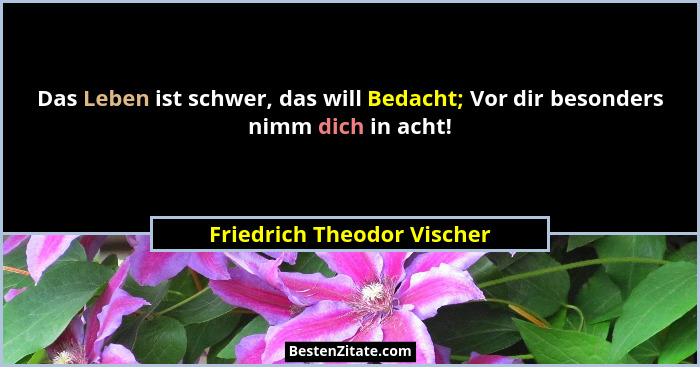 Das Leben ist schwer, das will Bedacht; Vor dir besonders nimm dich in acht!... - Friedrich Theodor Vischer