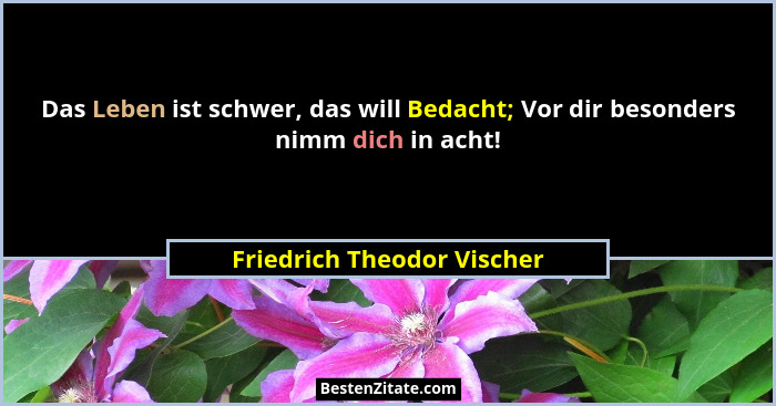 Das Leben ist schwer, das will Bedacht; Vor dir besonders nimm dich in acht!... - Friedrich Theodor Vischer