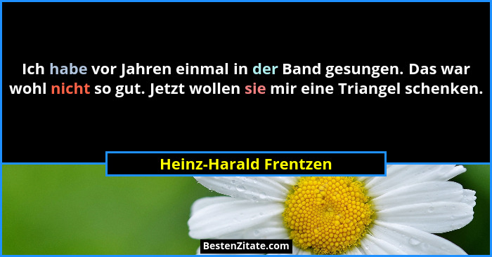 Ich habe vor Jahren einmal in der Band gesungen. Das war wohl nicht so gut. Jetzt wollen sie mir eine Triangel schenken.... - Heinz-Harald Frentzen