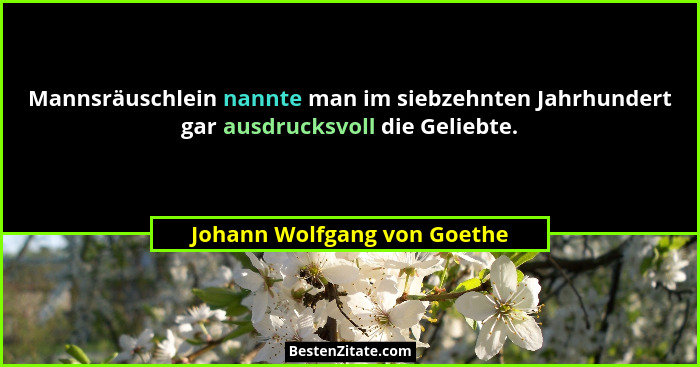 Mannsräuschlein nannte man im siebzehnten Jahrhundert gar ausdrucksvoll die Geliebte.... - Johann Wolfgang von Goethe