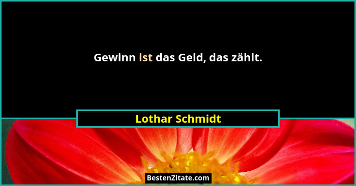 Gewinn ist das Geld, das zählt.... - Lothar Schmidt
