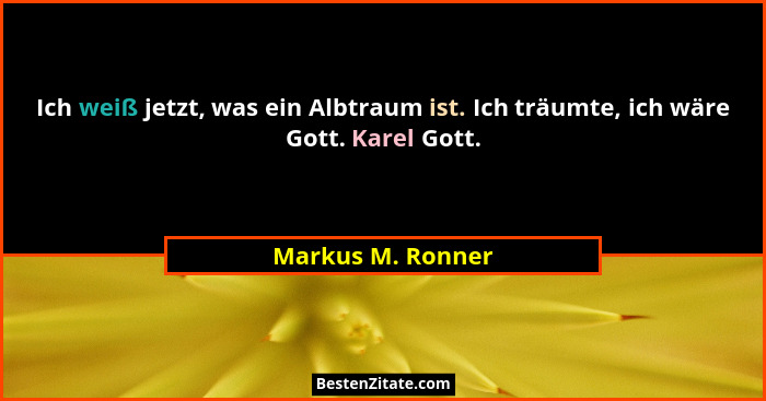 Ich weiß jetzt, was ein Albtraum ist. Ich träumte, ich wäre Gott. Karel Gott.... - Markus M. Ronner