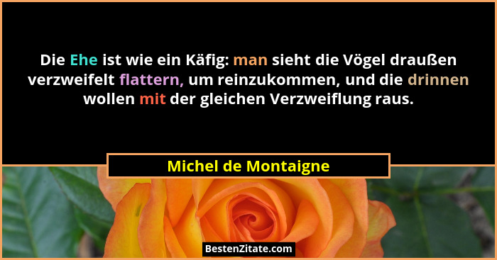 Die Ehe ist wie ein Käfig: man sieht die Vögel draußen verzweifelt flattern, um reinzukommen, und die drinnen wollen mit der gle... - Michel de Montaigne