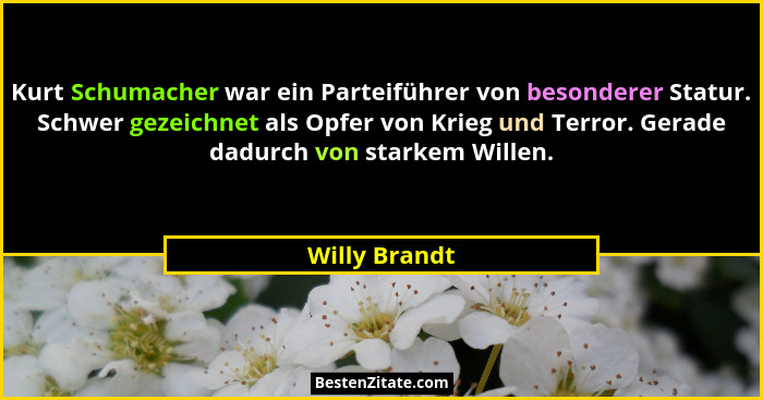 Kurt Schumacher war ein Parteiführer von besonderer Statur. Schwer gezeichnet als Opfer von Krieg und Terror. Gerade dadurch von starke... - Willy Brandt