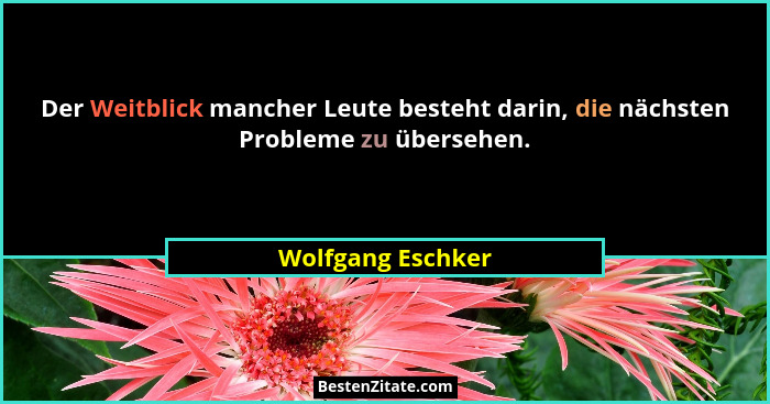 Der Weitblick mancher Leute besteht darin, die nächsten Probleme zu übersehen.... - Wolfgang Eschker
