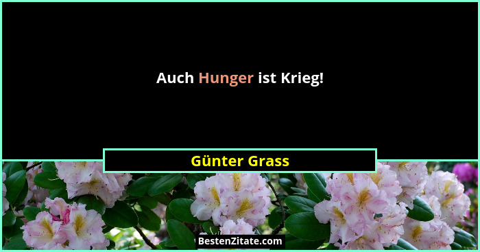 Auch Hunger ist Krieg!... - Günter Grass